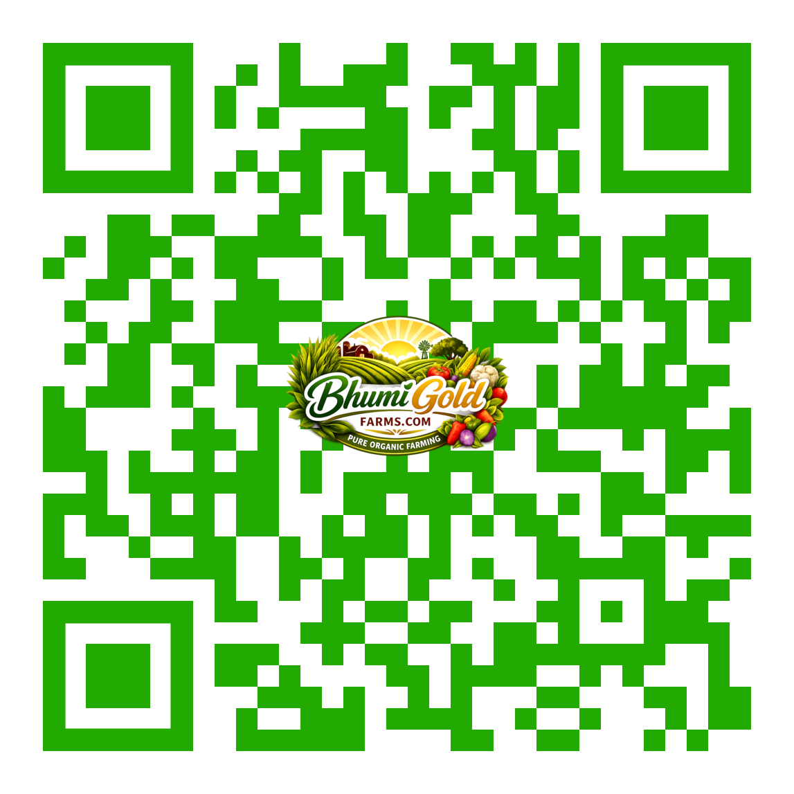 Contact QR Code